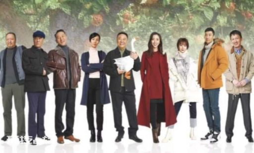 下乡题材电视剧哪个好看(有老戏骨出演的乡村电视剧)-图片8